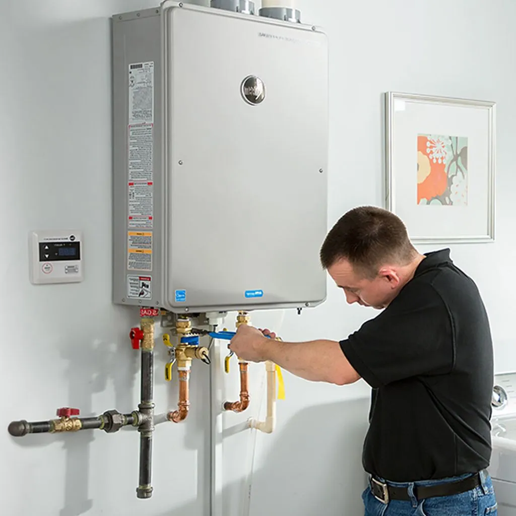 tankless water heater repair in Neligh, NE